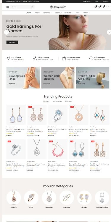 SaaS website design project